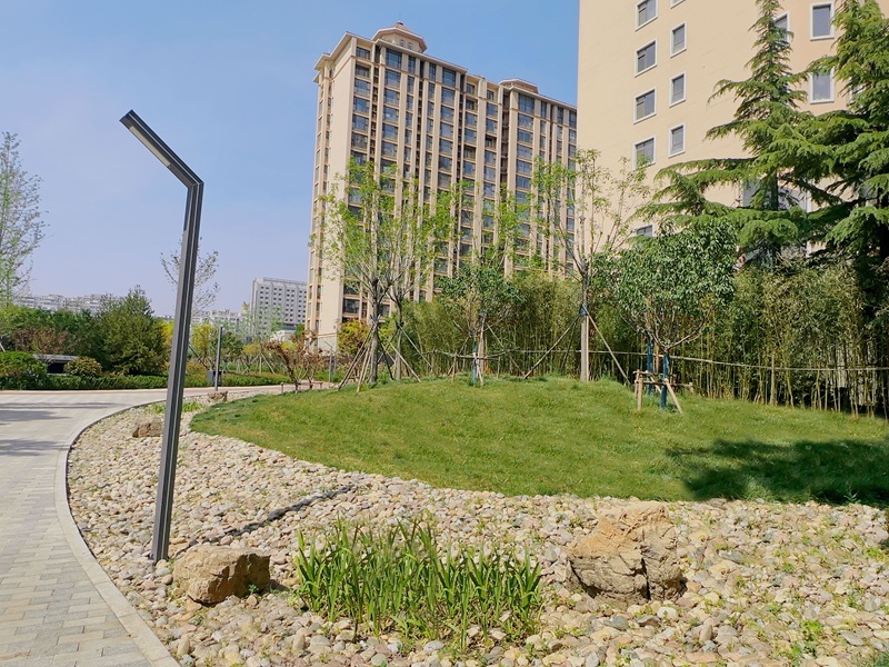 新城東路(創(chuàng)新街-北宮街)口袋公園工程